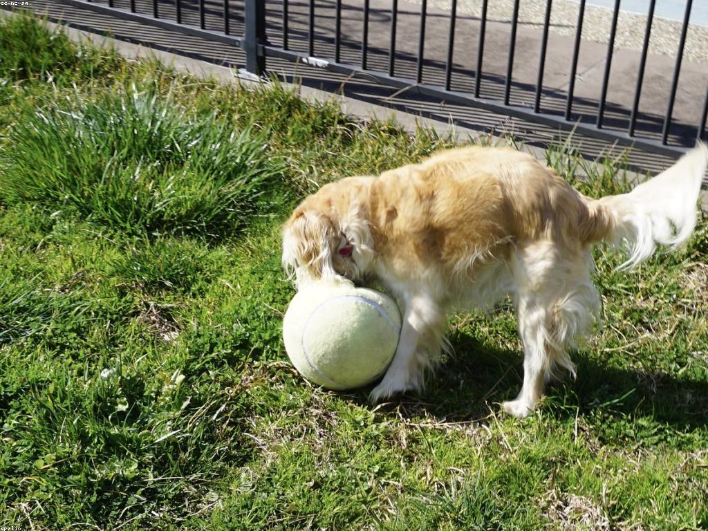 ស្លតលេងជាមួយគ្រួសារ: ការស្នាក់នៅជាមួយគ្រួសារ