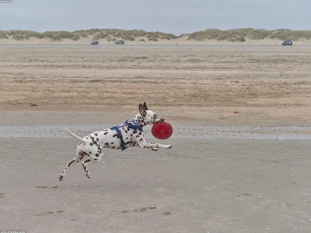 ការស្វែងរកភាពសប្បាយនៅកន្លែងលេងស្លត