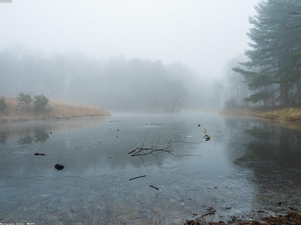 សកម្មភាពស្នាដៃសម្រាប់ស្លតលេងជាមួយគ្រួសារ