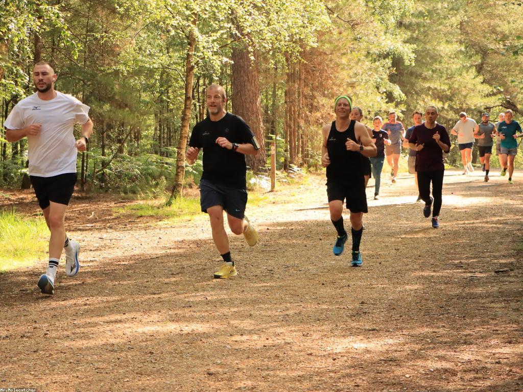 កន្លែងលេងស្លត: ការប្រើប្រាស់សម្រាប់អារម្មណ៍ដ៏ល្អនិងការកម្សាន្ត