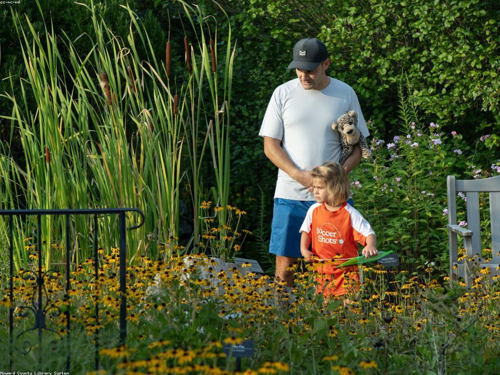 ការស្វែងរកភាពសប្បាយនៅកន្លែងលេងស្លត